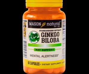 MASON GINKGO BILOBA 60 MG (60 CAP)
